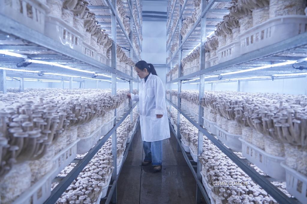 微信图片_20250414155737